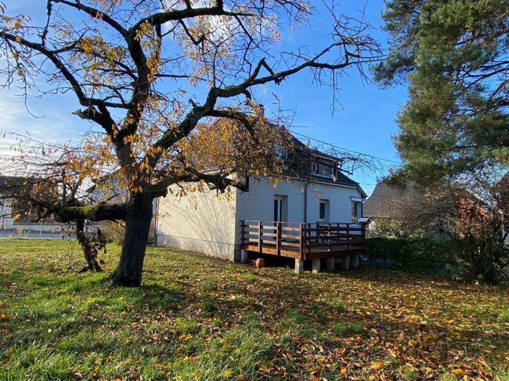 La Maison D'Emilie Villa Morschwiller-le-Bas Exterior photo